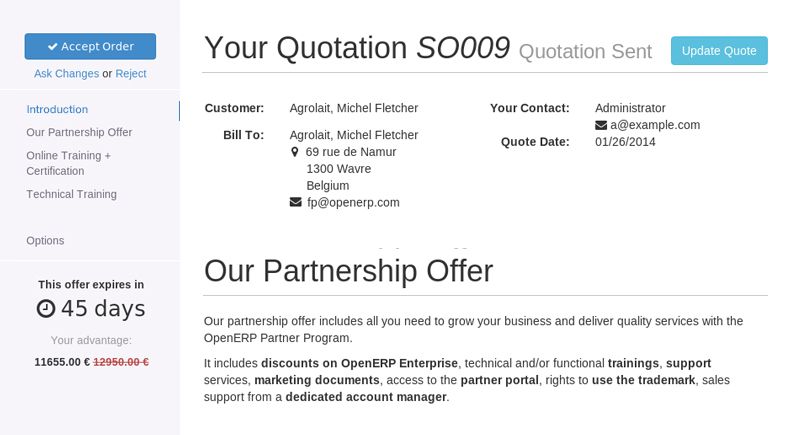 Odoo CMS - a big picture